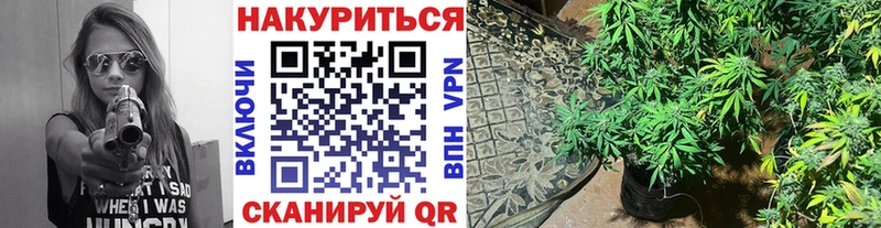 Канабис MAZAR  магазин продажи   Суворов 